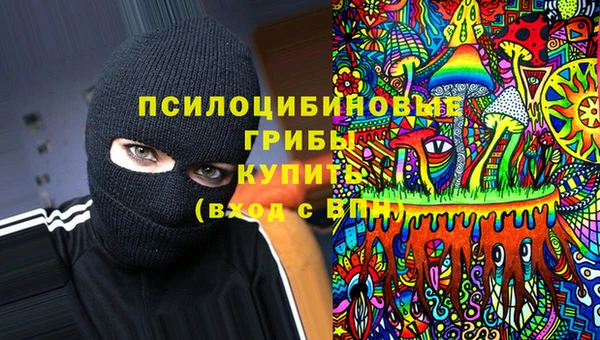 индика Вяземский