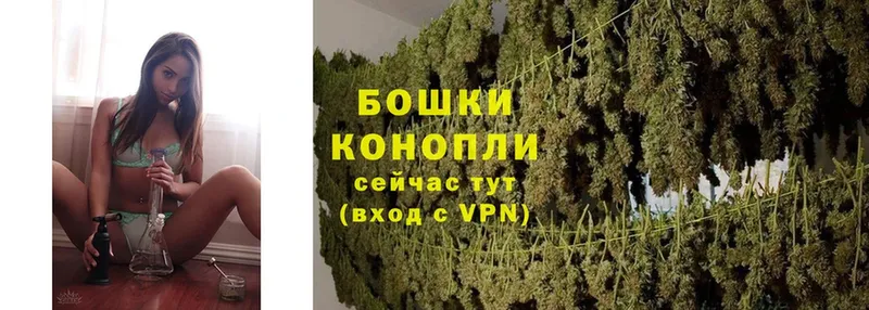 Каннабис THC 21%  OMG вход  Агрыз  купить закладку 